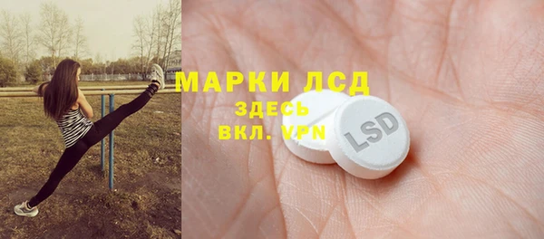 дживик Надым