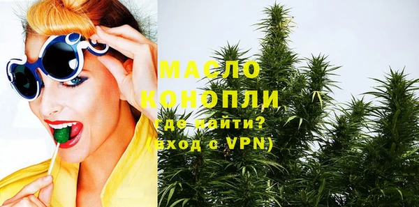 дживик Надым