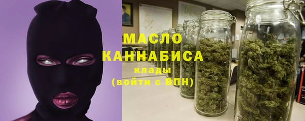 дживик Надым