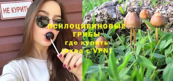 дживик Надым