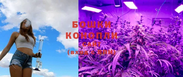 дживик Надым