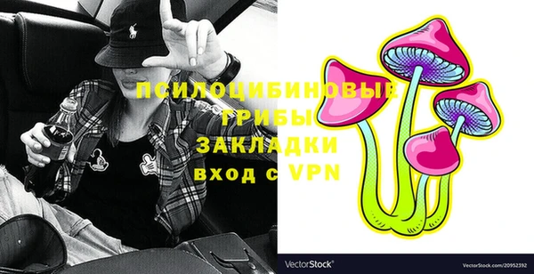 ПСИЛОЦИБИНОВЫЕ ГРИБЫ Навашино