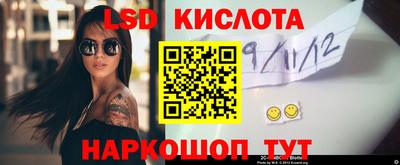 ешки Камышлов