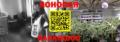 ешки Камышлов