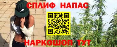 ешки Камышлов