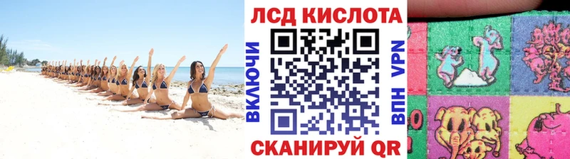Марки NBOMe 1,5мг kraken вход Светлоград