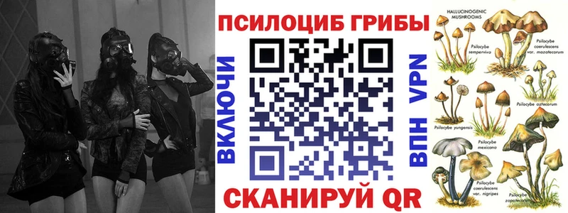 Псилоцибиновые грибы мухоморы  купить наркотик  Светлоград 