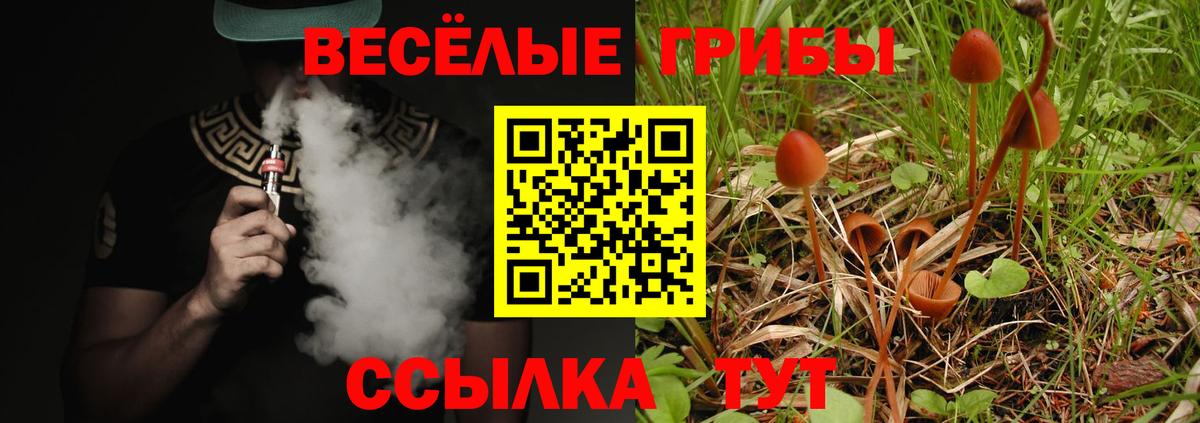 Псилоцибиновые грибы мицелий Светлоград