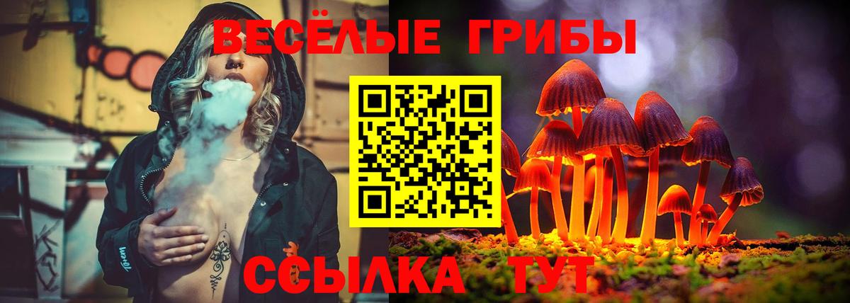 Псилоцибиновые грибы мухоморы  Вход с VPN  Светлоград 