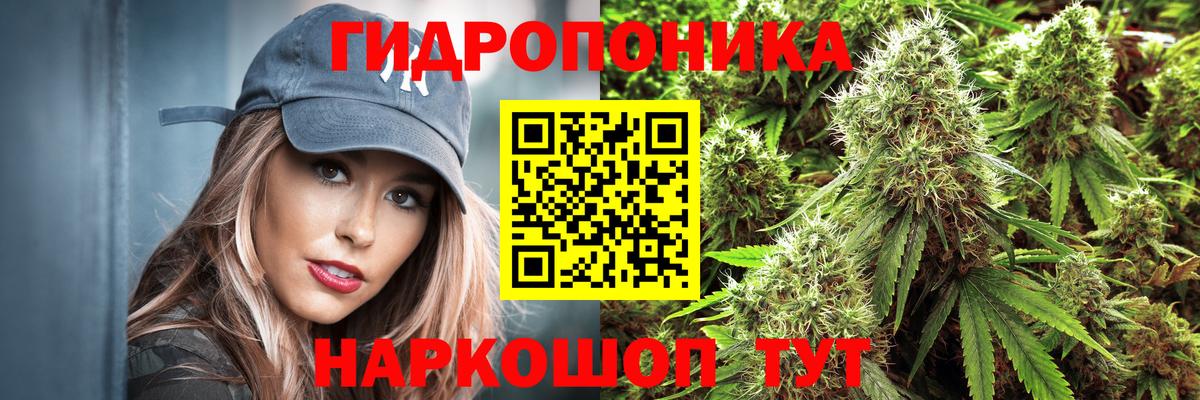 Шишки марихуана планчик  Бошки марихуана план  Светлоград  Конопля тримм  Вход с VPN 