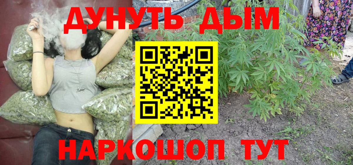 Бошки Шишки Светлоград